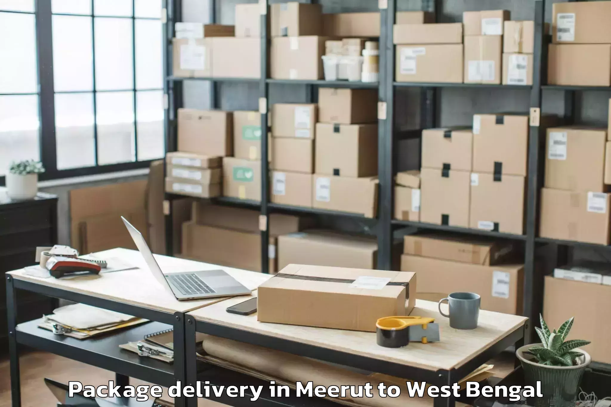 Quality Meerut to The West Bengal National Unive Package Delivery